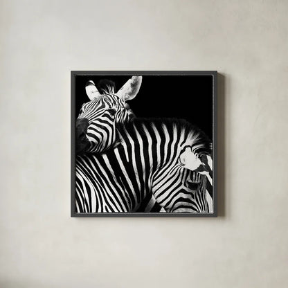 Zebra VI by Debra Van Swearingen. Shown in a sleek black glass frame for a contemporary gallery look. Available as an archival giclee rolled canvas, fine art paper, or poster print. SKU 19454a.