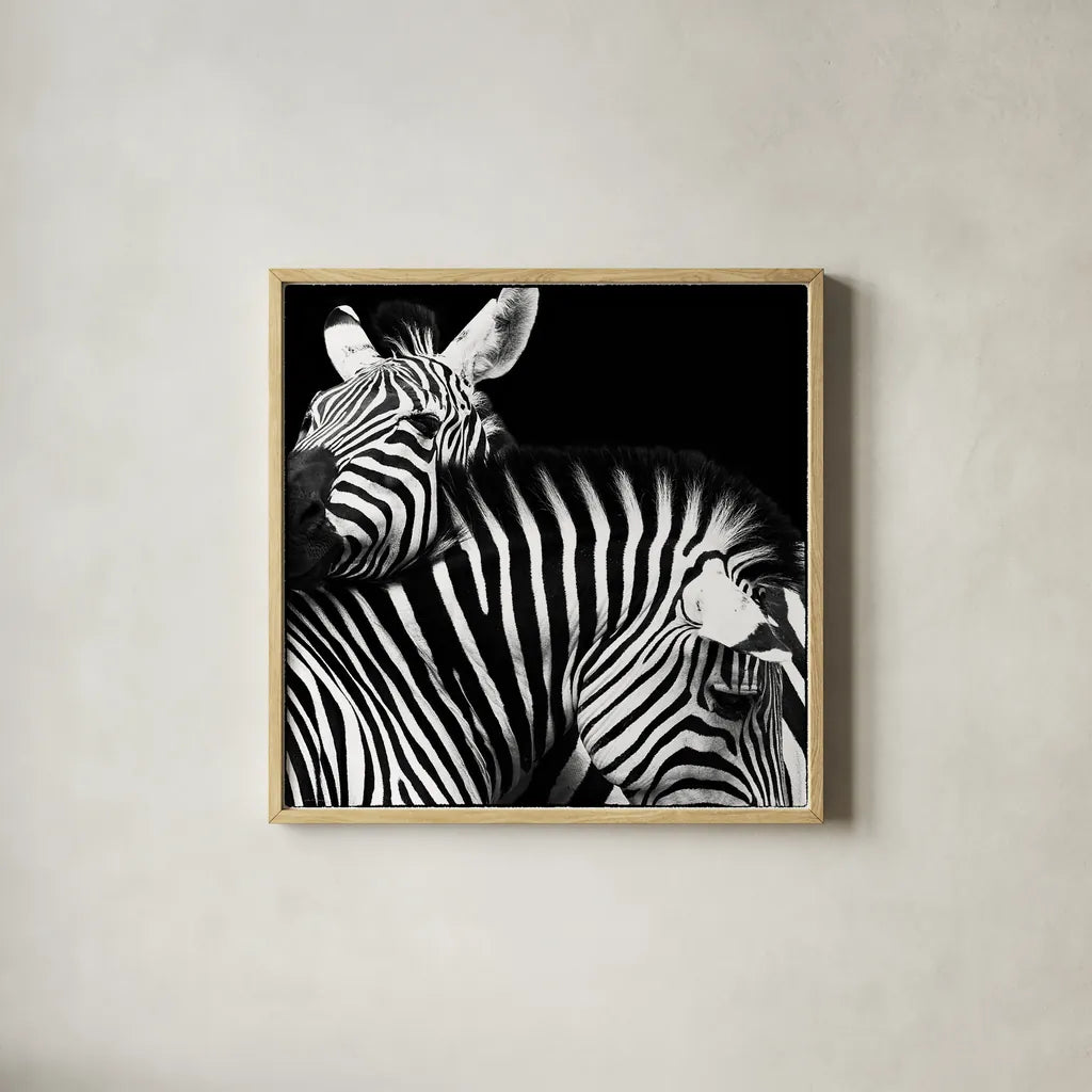 Zebra VI by Debra Van Swearingen. Shown in a natural wood glass frame for a timeless modern aesthetic. Available as an archival giclee rolled canvas, fine art paper, or poster print. SKU 19454a.