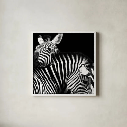 Zebra VI by Debra Van Swearingen. Shown in a crisp white glass frame for a clean and minimalist style. Available as an archival giclee rolled canvas, fine art paper, or poster print. SKU 19454a.