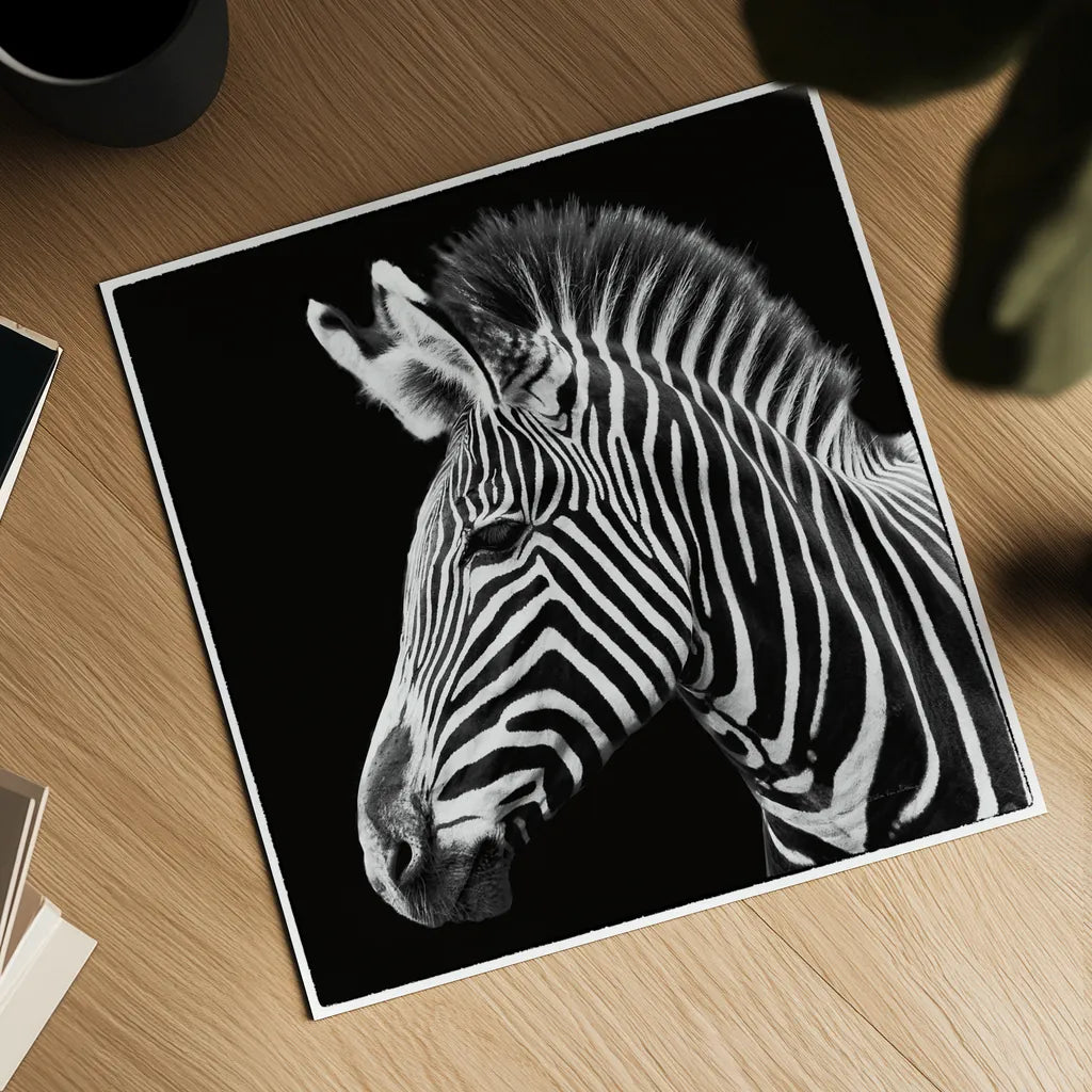 Zebra VII by Debra Van Swearingen. Shown as a detailed flat fine art print, highlighting archival giclee quality. Available as an archival giclee rolled canvas, fine art paper, or poster print. SKU 19455a.