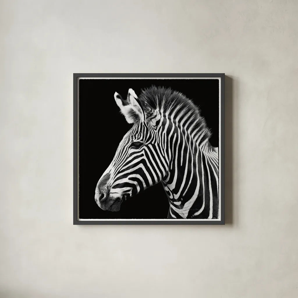 Zebra VII by Debra Van Swearingen. Shown in a sleek black glass frame for a contemporary gallery look. Available as an archival giclee rolled canvas, fine art paper, or poster print. SKU 19455a.