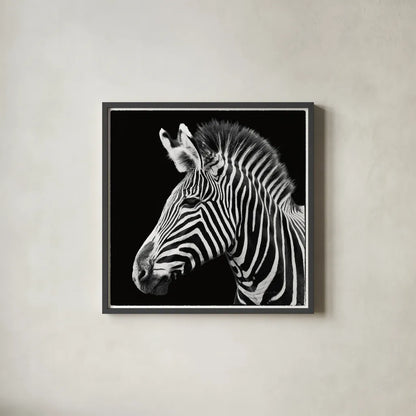 Zebra VII by Debra Van Swearingen. Shown in a sleek black glass frame for a contemporary gallery look. Available as an archival giclee rolled canvas, fine art paper, or poster print. SKU 19455a.
