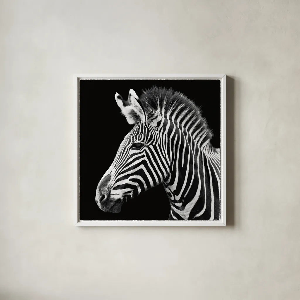 Zebra VII by Debra Van Swearingen. Shown in a crisp white glass frame for a clean and minimalist style. Available as an archival giclee rolled canvas, fine art paper, or poster print. SKU 19455a.