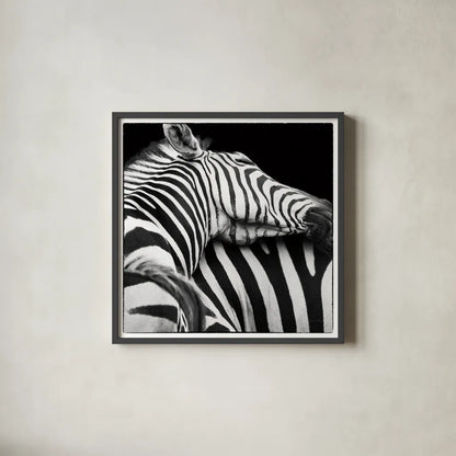 Zebra VIII by Debra Van Swearingen. Shown in a sleek black glass frame for a contemporary gallery look. Available as an archival giclee rolled canvas, fine art paper, or poster print. SKU 19456a.
