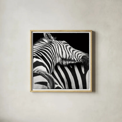 Zebra VIII by Debra Van Swearingen. Shown in a natural wood glass frame for a timeless modern aesthetic. Available as an archival giclee rolled canvas, fine art paper, or poster print. SKU 19456a.
