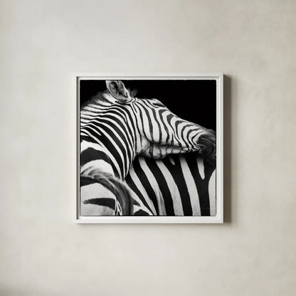 Zebra VIII by Debra Van Swearingen. Shown in a crisp white glass frame for a clean and minimalist style. Available as an archival giclee rolled canvas, fine art paper, or poster print. SKU 19456a.