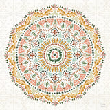 Floral Chic IX by Dina June. SKU 83811a. Archival Giclee Fine art print for wall decor.