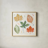 Harvest Whimsy V by Dina June. Shown in a natural wood glass frame for a timeless modern aesthetic. Available as an archival giclee rolled canvas, fine art paper, or poster print. SKU 91924a.