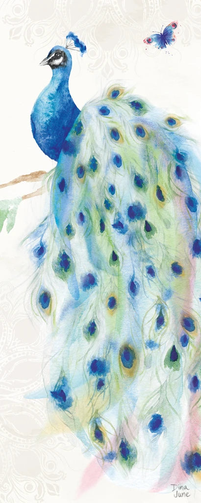 Peacock Glory III by Dina June