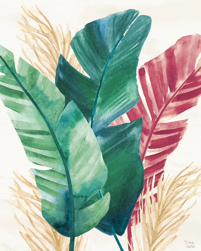 The Tropics II by Dina June
