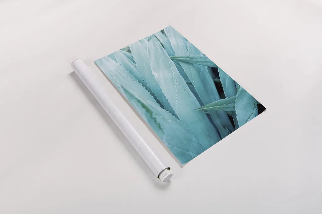 Abstract Agava I Color by Elizabeth Urquhart. shown as a rolled paper print. Available as archival giclee rolled canvas, fine art paper, or poster print. SKU 33233h.