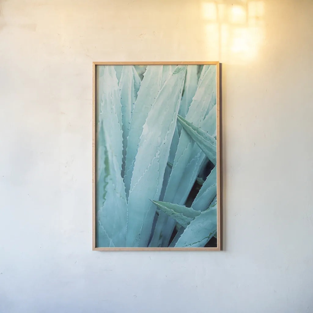 Abstract Agava I Color by Elizabeth Urquhart. shown as a paper print in a natural frame. Available as a archival giclee rolled canvas, fine art paper, or poster print. SKU 33233h.
