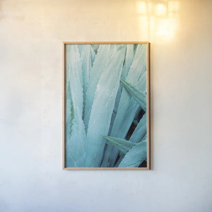 Abstract Agava I Color by Elizabeth Urquhart. shown as a paper print in a natural frame. Available as a archival giclee rolled canvas, fine art paper, or poster print. SKU 33233h.
