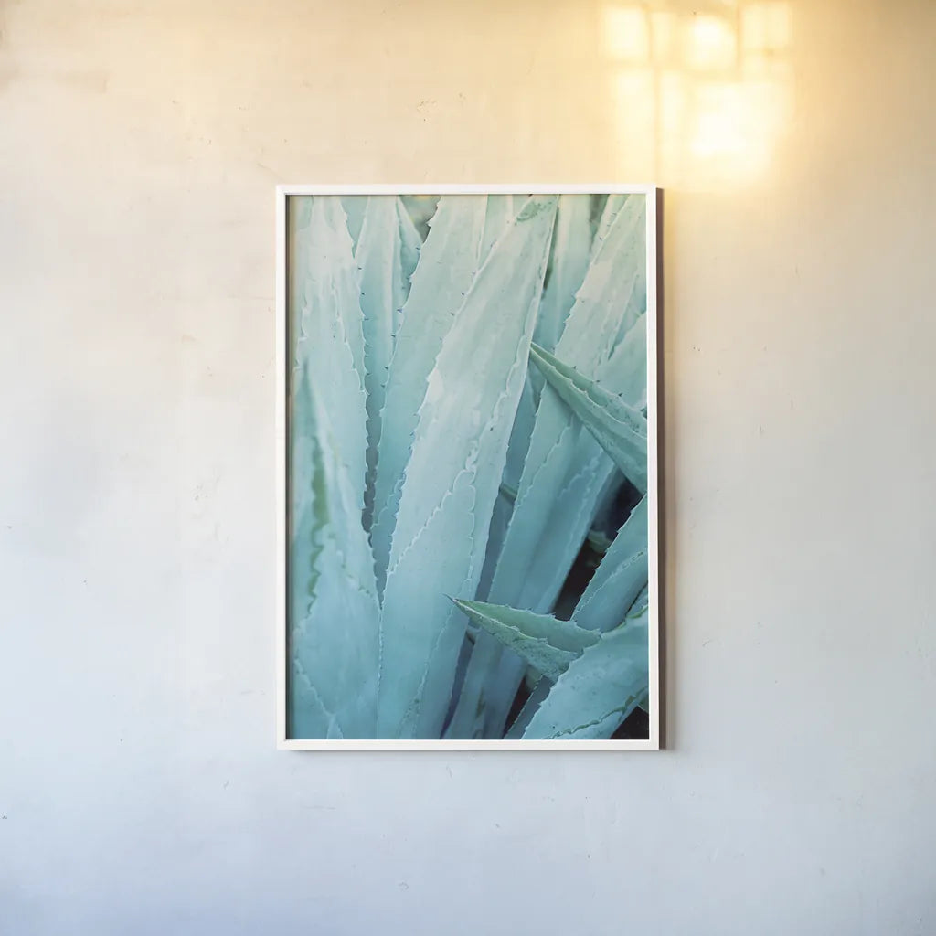 Abstract Agava I Color by Elizabeth Urquhart. shown as a paper print in a white frame. Available as a archival giclee rolled canvas, fine art paper, or poster print. SKU 33233h.