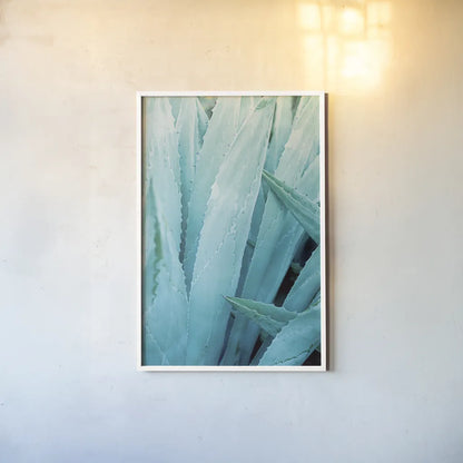 Abstract Agava I Color by Elizabeth Urquhart. shown as a paper print in a white frame. Available as a archival giclee rolled canvas, fine art paper, or poster print. SKU 33233h.