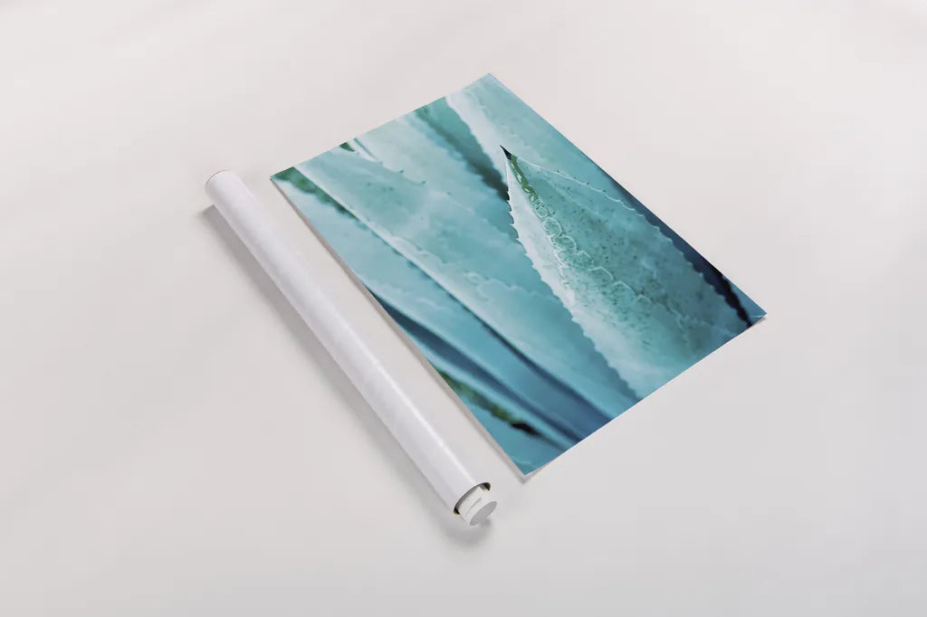 Abstract Agava II Color by Elizabeth Urquhart. shown as a rolled paper print. Available as archival giclee rolled canvas, fine art paper, or poster print. SKU 33234h.