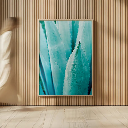 Abstract Agava II Color by Elizabeth Urquhart. shown as over sized large wall art. Available as an archival giclee rolled canvas, fine art paper, or poster print. SKU 33234h.