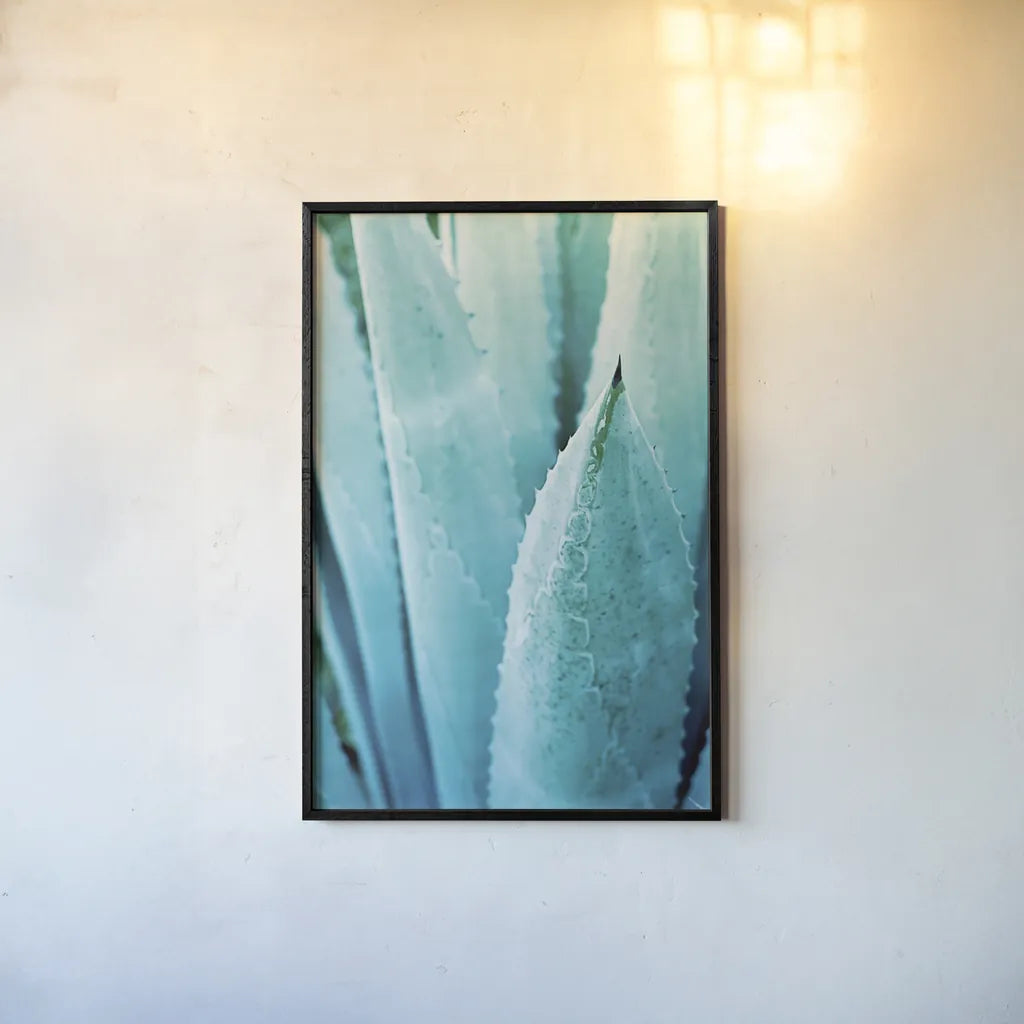 Abstract Agava II Color by Elizabeth Urquhart. shown as a paper print in a black flame. Available as a archival giclee rolled canvas, fine art paper, or poster print. SKU 33234h.