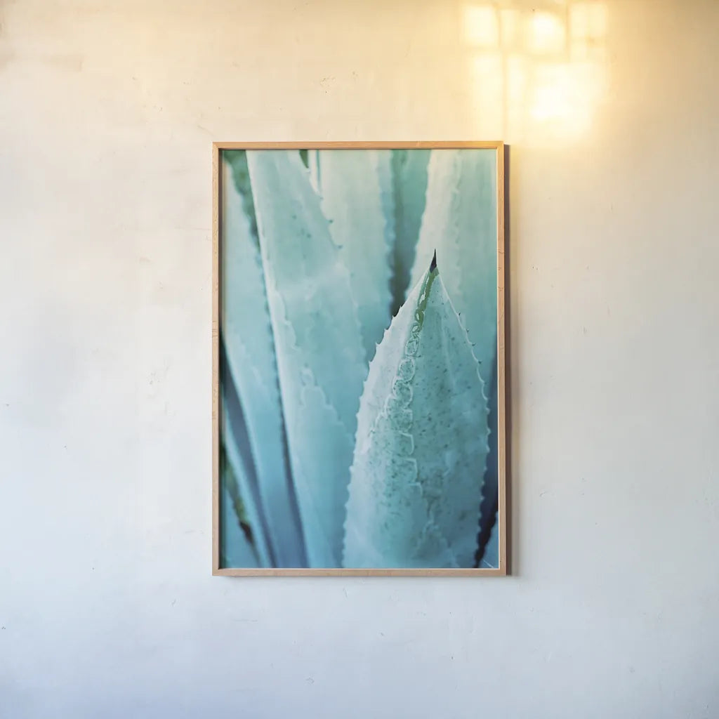 Abstract Agava II Color by Elizabeth Urquhart. shown as a paper print in a natural frame. Available as a archival giclee rolled canvas, fine art paper, or poster print. SKU 33234h.