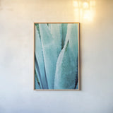 Abstract Agava II Color by Elizabeth Urquhart. shown as a paper print in a natural frame. Available as a archival giclee rolled canvas, fine art paper, or poster print. SKU 33234h.
