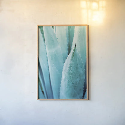 Abstract Agava II Color by Elizabeth Urquhart. shown as a paper print in a natural frame. Available as a archival giclee rolled canvas, fine art paper, or poster print. SKU 33234h.