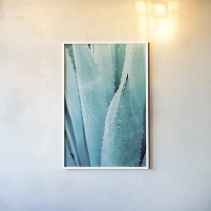 Abstract Agava II Color by Elizabeth Urquhart. shown as a paper print in a white frame. Available as a archival giclee rolled canvas, fine art paper, or poster print. SKU 33234h.