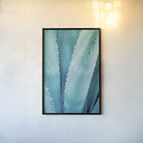 Abstract Agava III Color by Elizabeth Urquhart. shown as a paper print in a black flame. Available as a archival giclee rolled canvas, fine art paper, or poster print. SKU 33235h.