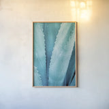 Abstract Agava III Color by Elizabeth Urquhart. shown as a paper print in a natural frame. Available as a archival giclee rolled canvas, fine art paper, or poster print. SKU 33235h.