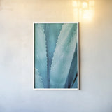 Abstract Agava III Color by Elizabeth Urquhart. shown as a paper print in a white frame. Available as a archival giclee rolled canvas, fine art paper, or poster print. SKU 33235h.
