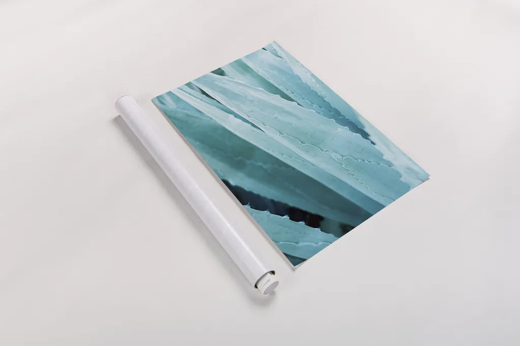 Abstract Agava IV Color by Elizabeth Urquhart. shown as a rolled paper print. Available as archival giclee rolled canvas, fine art paper, or poster print. SKU 33236h.