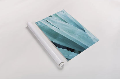 Abstract Agava IV Color by Elizabeth Urquhart. shown as a rolled paper print. Available as archival giclee rolled canvas, fine art paper, or poster print. SKU 33236h.