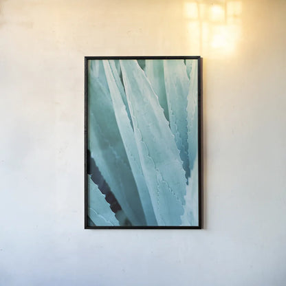 Abstract Agava IV Color by Elizabeth Urquhart. shown as a paper print in a black flame. Available as a archival giclee rolled canvas, fine art paper, or poster print. SKU 33236h.