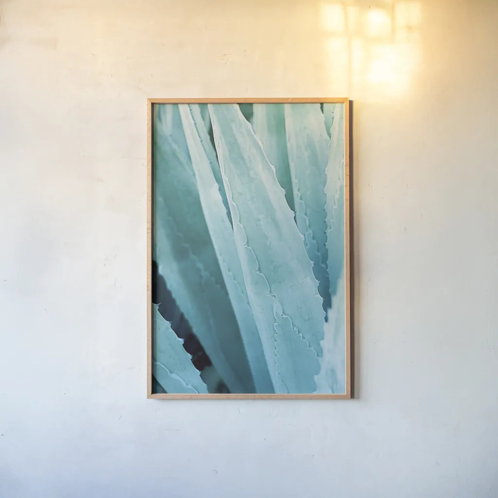 Abstract Agava IV Color by Elizabeth Urquhart. shown as a paper print in a natural frame. Available as a archival giclee rolled canvas, fine art paper, or poster print. SKU 33236h.