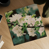Apple Blossoms I Crop by Elizabeth Urquhart. Shown as a detailed flat fine art print, highlighting archival giclee quality. Available as an archival giclee rolled canvas, fine art paper, or poster print. SKU 23799a.
