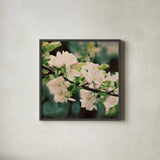 Apple Blossoms I Crop by Elizabeth Urquhart. Shown in a sleek black glass frame for a contemporary gallery look. Available as an archival giclee rolled canvas, fine art paper, or poster print. SKU 23799a.