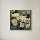 Apple Blossoms I Crop by Elizabeth Urquhart. Shown in a natural wood glass frame for a timeless modern aesthetic. Available as an archival giclee rolled canvas, fine art paper, or poster print. SKU 23799a.