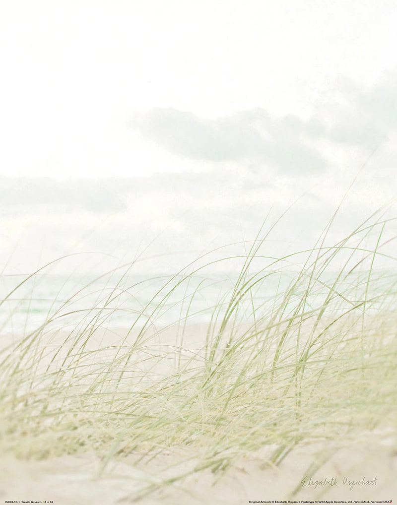 Beach Grass I Crop by Elizabeth Urquhart