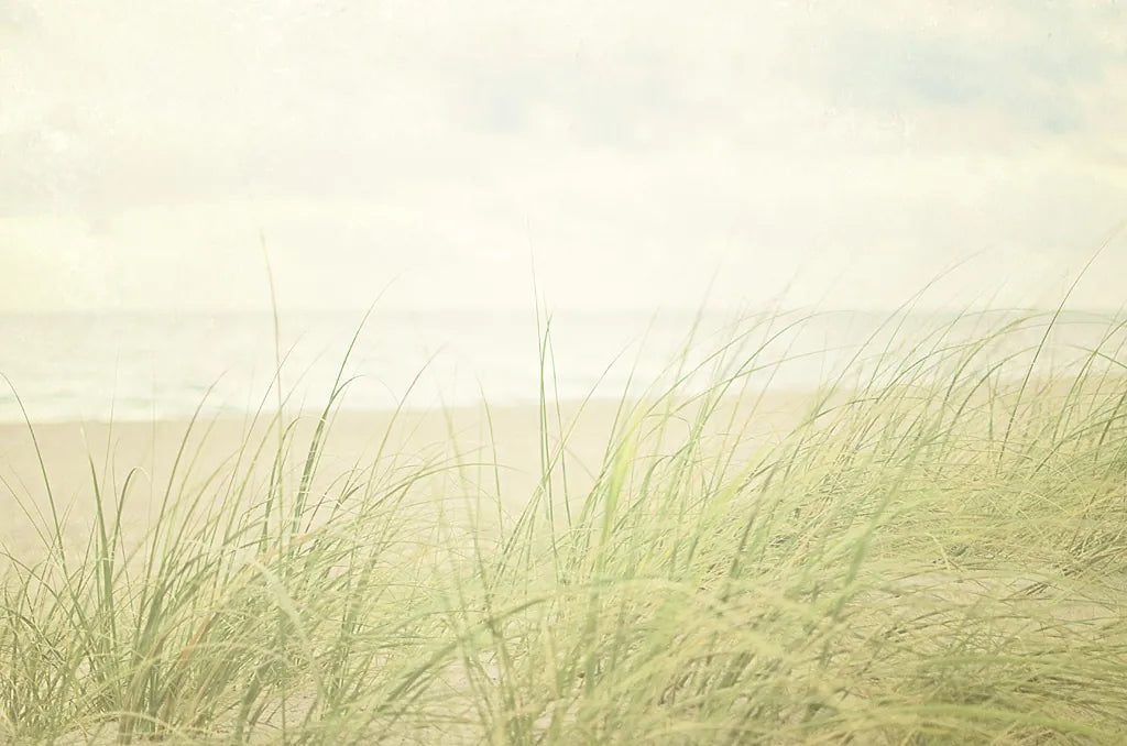 Beach Grass II by Elizabeth Urquhart. SKU 17316i. Archival Giclee Fine art print for wall decor.