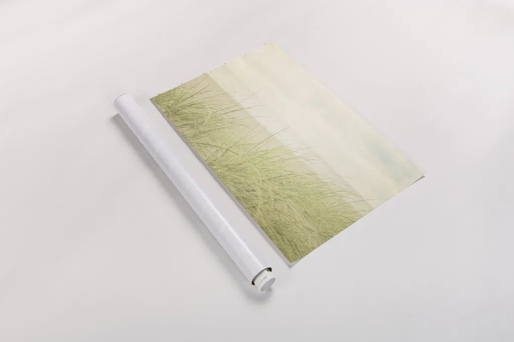 Beach Grass II by Elizabeth Urquhart. shown as a rolled paper print. Available as archival giclee rolled canvas, fine art paper, or poster print. SKU 17316i.