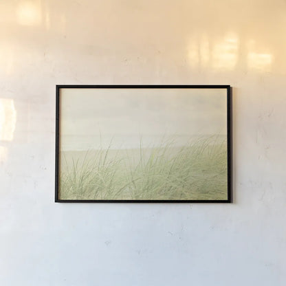 Beach Grass II by Elizabeth Urquhart. shown as a paper print in a black flame. Available as a archival giclee rolled canvas, fine art paper, or poster print. SKU 17316i.