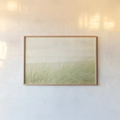 Beach Grass II by Elizabeth Urquhart. shown as a paper print in a natural frame. Available as a archival giclee rolled canvas, fine art paper, or poster print. SKU 17316i.