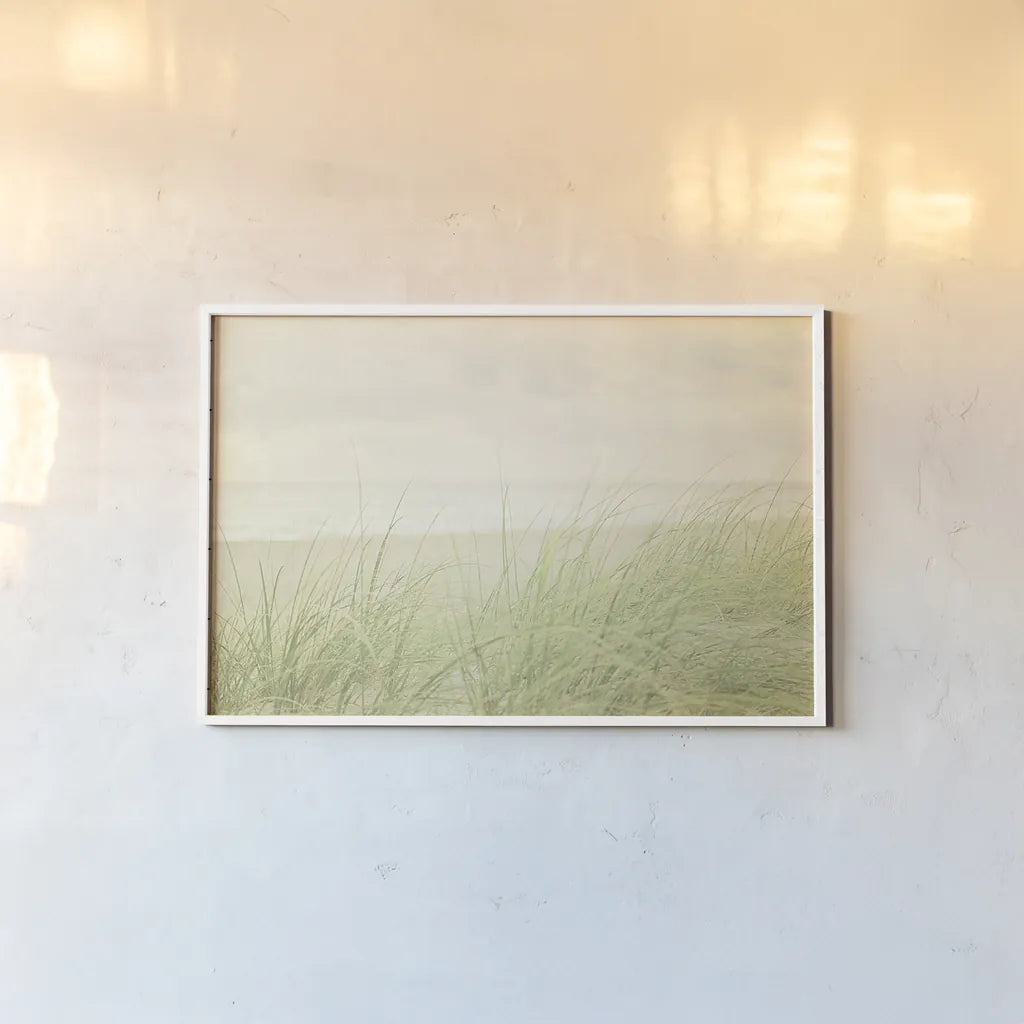 Beach Grass II by Elizabeth Urquhart. shown as a paper print in a white frame. Available as a archival giclee rolled canvas, fine art paper, or poster print. SKU 17316i.