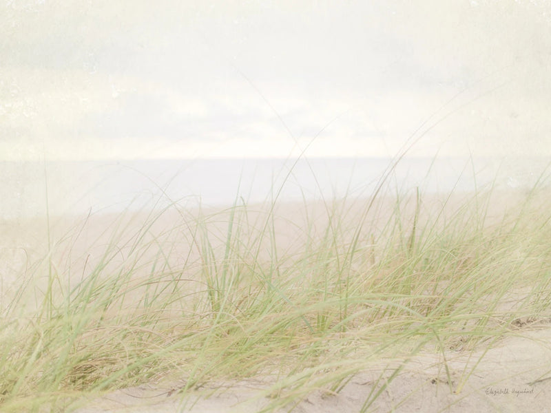 Beach Grass IV by Elizabeth Urquhart