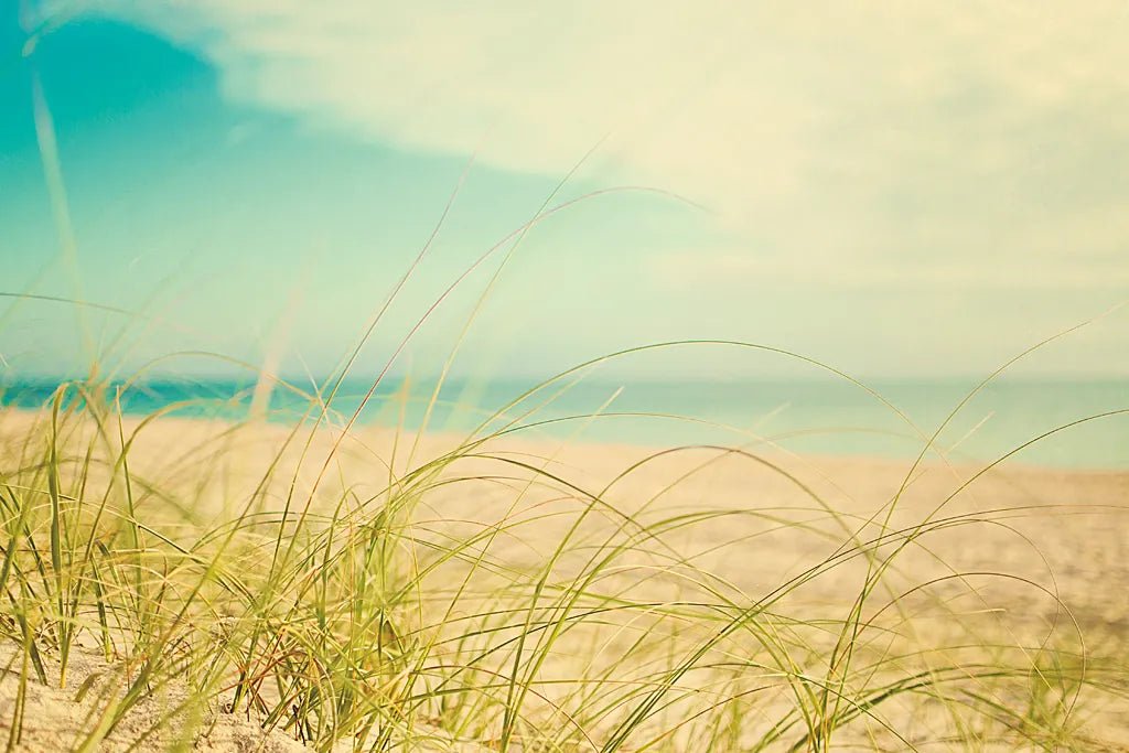 Beach Grass V by Elizabeth Urquhart. SKU 25865i. Archival Giclee Fine art print for wall decor.