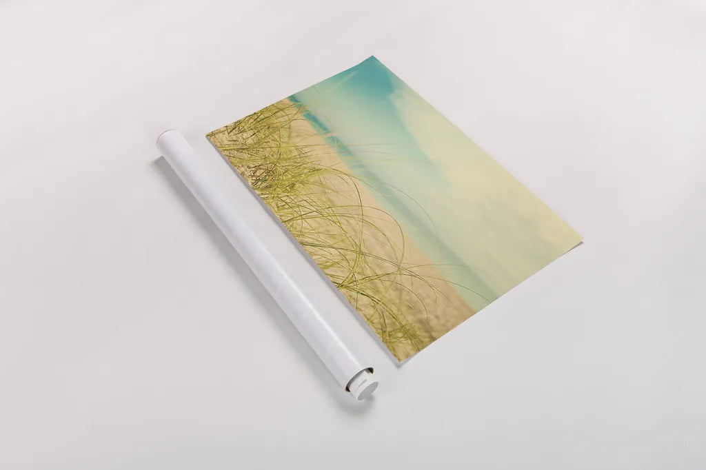 Beach Grass V by Elizabeth Urquhart. shown as a rolled paper print. Available as archival giclee rolled canvas, fine art paper, or poster print. SKU 25865i.