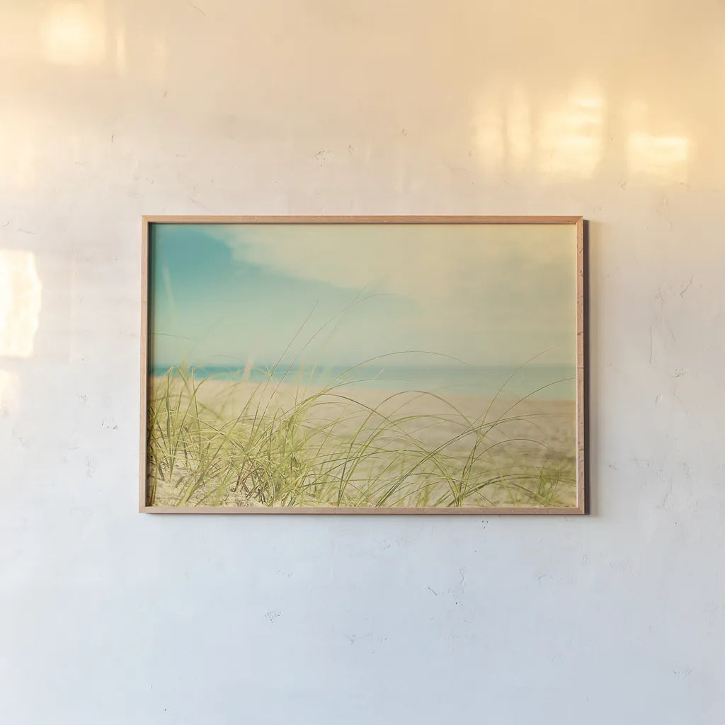 Beach Grass V by Elizabeth Urquhart. shown as a paper print in a natural frame. Available as a archival giclee rolled canvas, fine art paper, or poster print. SKU 25865i.