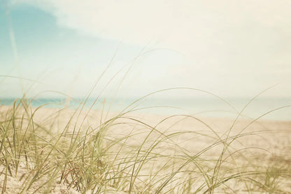 Beach Grass V Light by Elizabeth Urquhart. SKU 71694i. Archival Giclee Fine art print for wall decor.