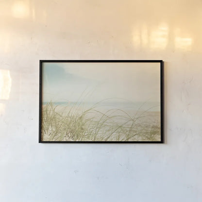 Beach Grass V Light by Elizabeth Urquhart. shown as a paper print in a black flame. Available as a archival giclee rolled canvas, fine art paper, or poster print. SKU 71694i.