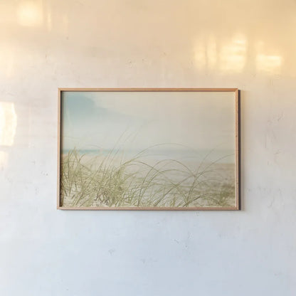 Beach Grass V Light by Elizabeth Urquhart. shown as a paper print in a natural frame. Available as a archival giclee rolled canvas, fine art paper, or poster print. SKU 71694i.