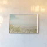 Beach Grass V Light by Elizabeth Urquhart. shown as a paper print in a white frame. Available as a archival giclee rolled canvas, fine art paper, or poster print. SKU 71694i.